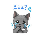 842634450