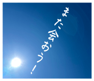 842634667