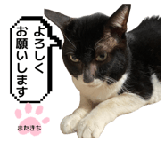 842634675