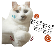 842634806