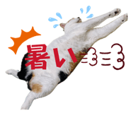 842634807