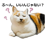 842634808