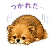 842635214