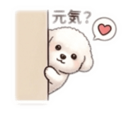 842635243