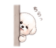 842635254