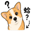 842635266