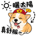 842635270