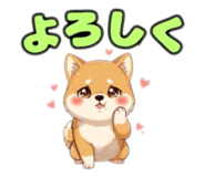 842635341