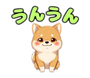 842635343