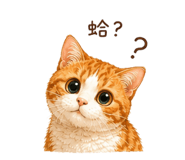 842635573