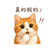 842635574