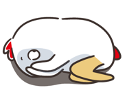 842635992