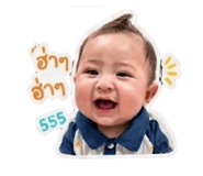 842636255