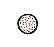 842636308