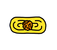 842636313