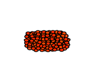 842636329