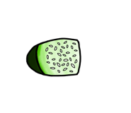 842636335