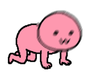 842636638