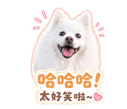 842637805