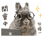 842638159