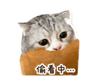 842638809
