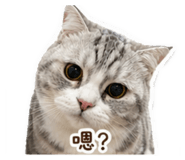 842638822