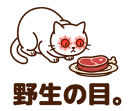 842639059