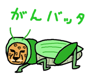 842639171