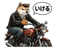 842639772