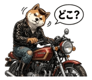 842639773