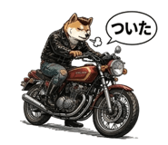 842639775