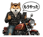 842639781