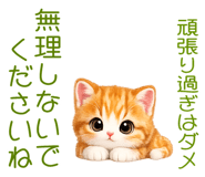 842639823