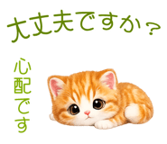 842639826