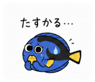 842641101