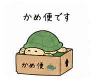 842641112