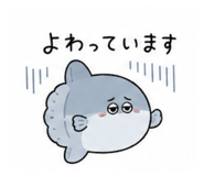 842641126