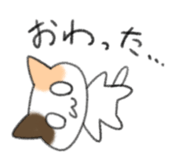 842641614