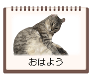 842641782