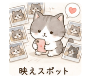 842641862