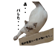 842642048