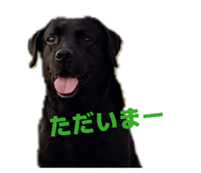 842642108
