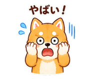 842642394
