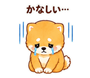842642396
