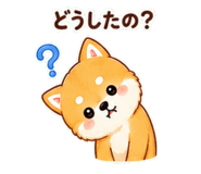 842642403