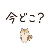 842642458