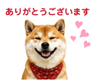 842642466