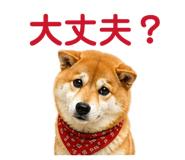 842642478