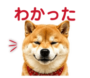 842642480