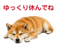 842642482
